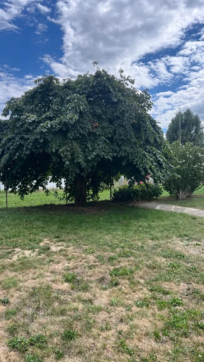 5-Zimmer-Haus mieten in Weiz – 130 m², € 950 – Bild 65 von 81