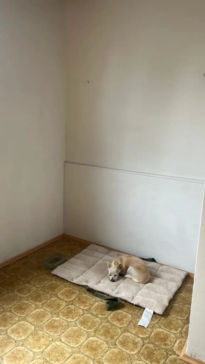 5-Zimmer-Haus mieten in Weiz – 130 m², € 950 – Bild 77 von 81