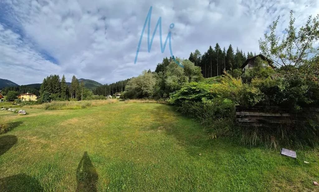 Immobilie kaufen in Hermagor – 11 800 m² – Bild 2 von 8