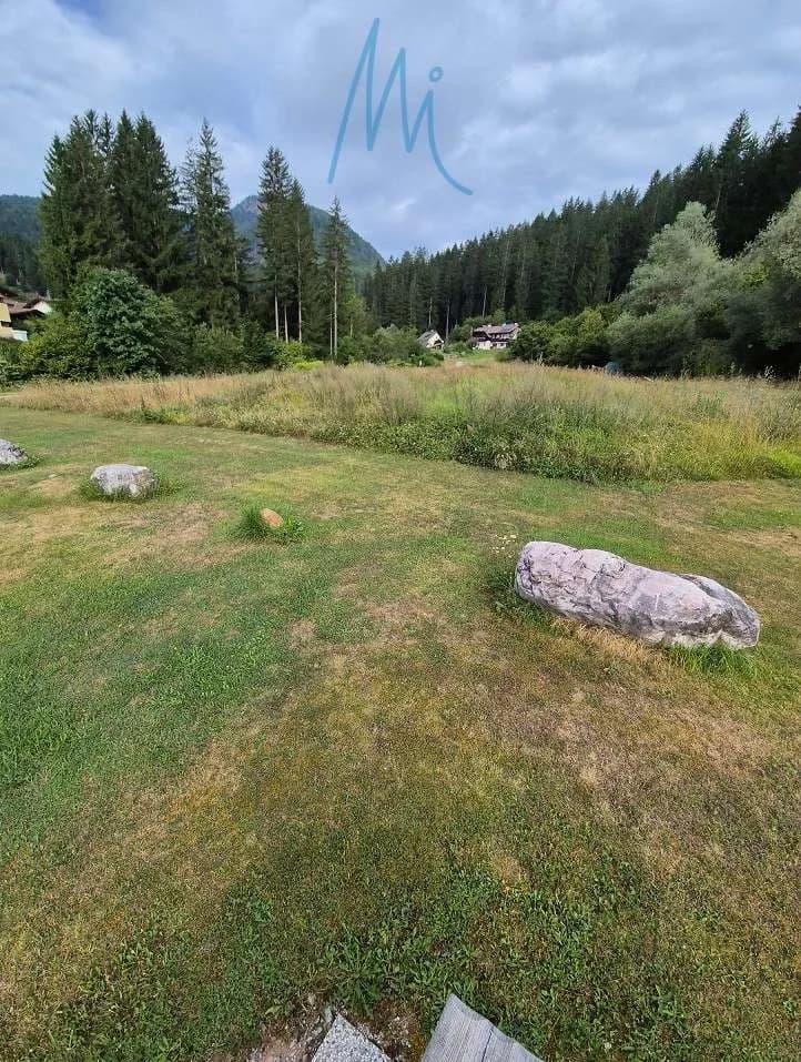 Immobilie kaufen in Hermagor – 11 800 m² – Bild 4 von 8
