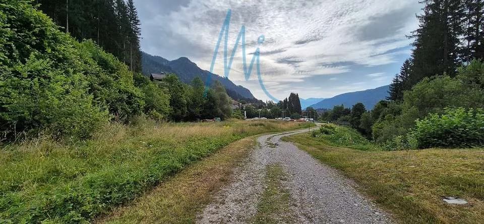 Immobilie kaufen in Hermagor – 11 800 m² – Bild 7 von 8
