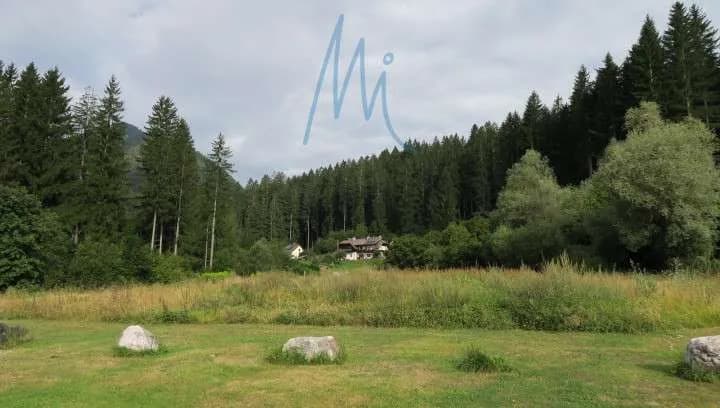 Immobilie kaufen in Hermagor – 11 800 m² – Bild 8 von 8