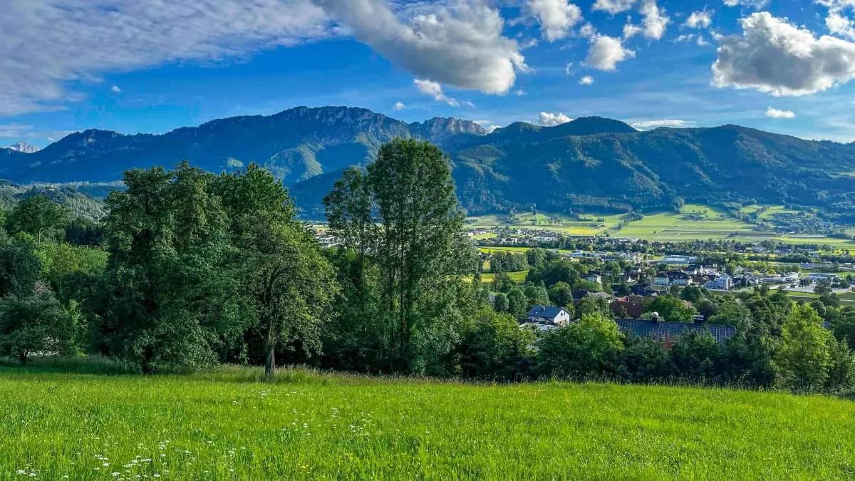 Grundstück kaufen in Kirchdorf an der Krems – 8 778 m², € 575.000