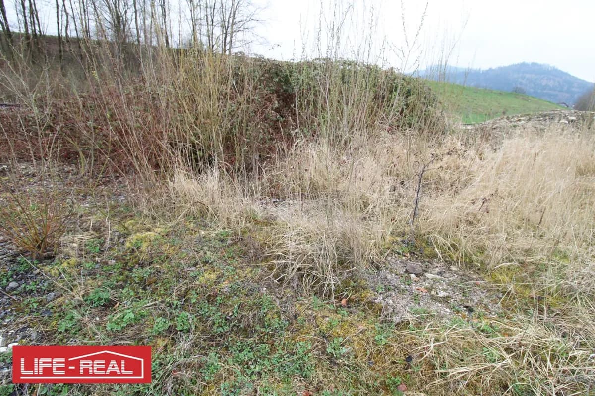 Immobilie mieten in Kirchdorf an der Krems – 4 794 m², € 2.400 – Bild 3 von 4