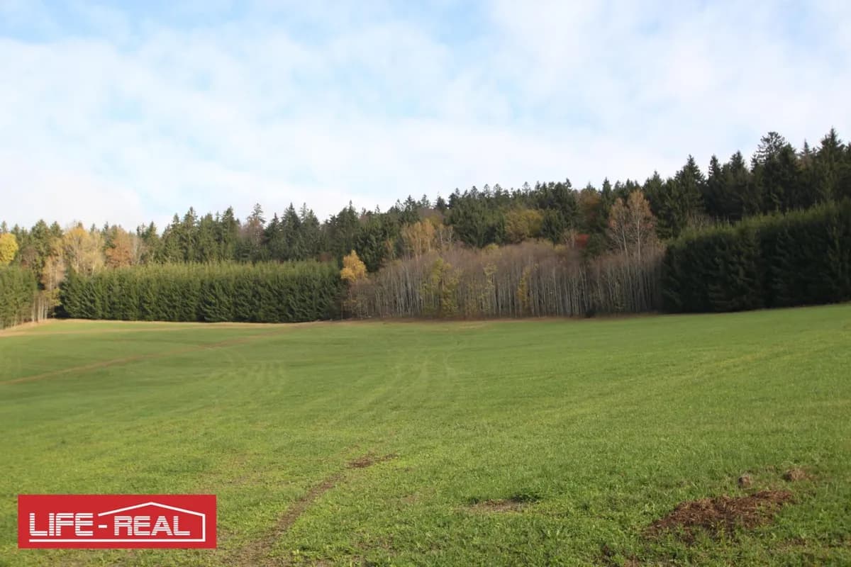 Grundstück kaufen in Rohrbach – 33 898 m², € 191.000