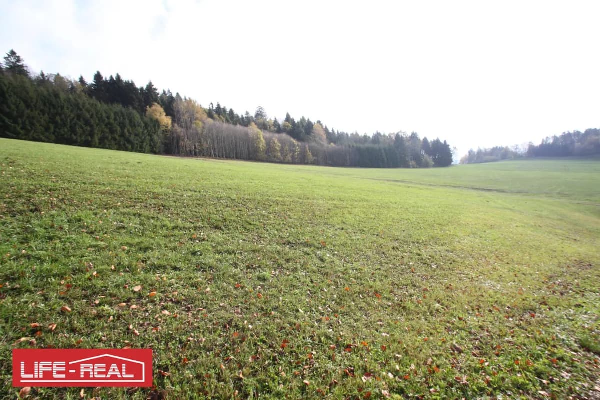 Grundstück kaufen in Rohrbach – 33 898 m², € 191.000 – Bild 2 von 6