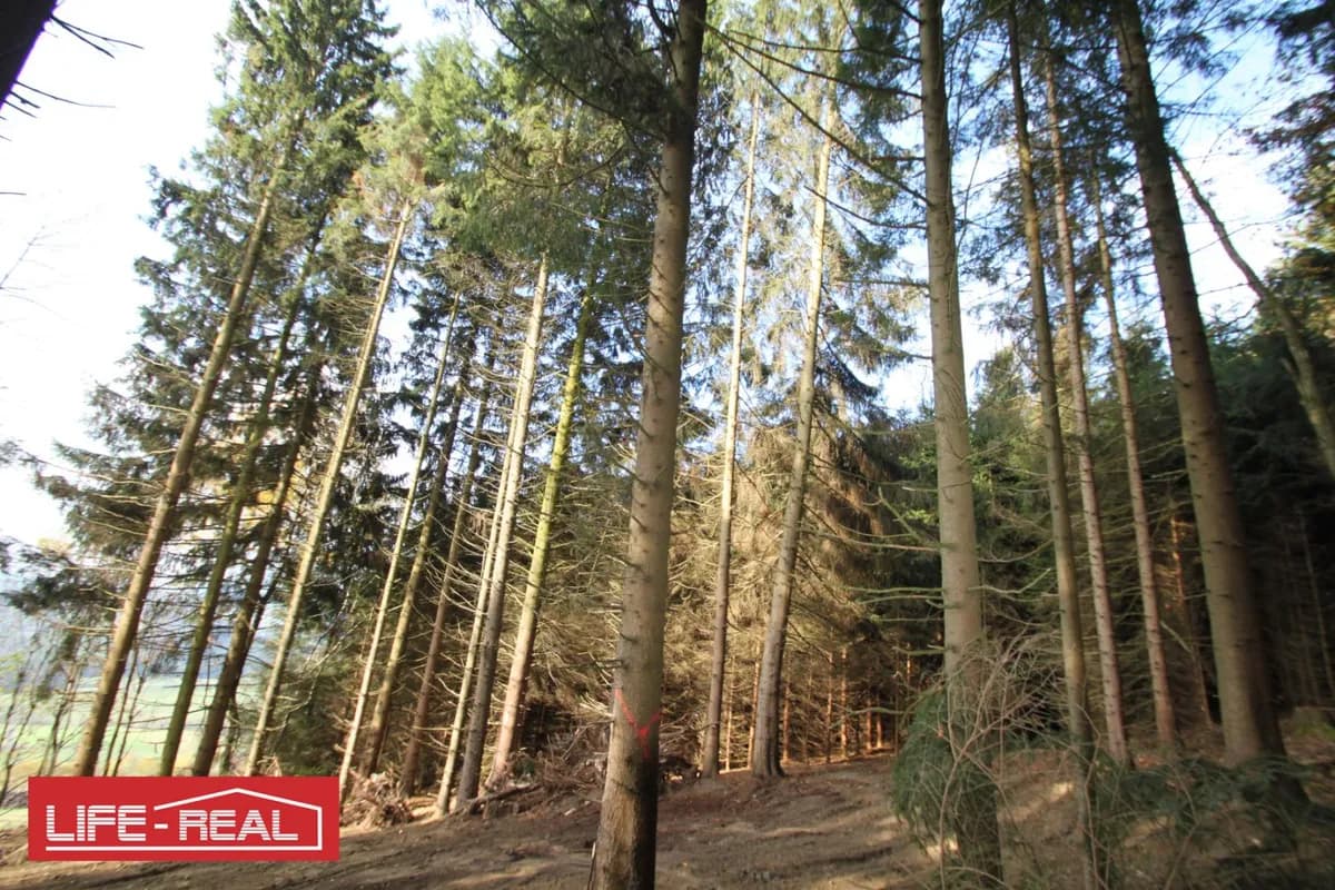 Grundstück kaufen in Rohrbach – 33 898 m², € 191.000 – Bild 3 von 6