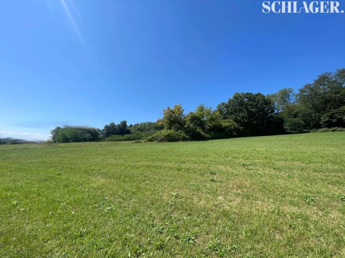 Immobilie kaufen in Graz-Umgebung – 10 447 m²