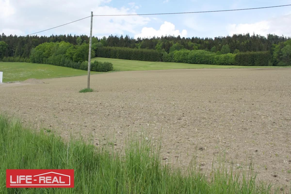 Grundstück kaufen in Rohrbach – 11 817 m², € 67.000