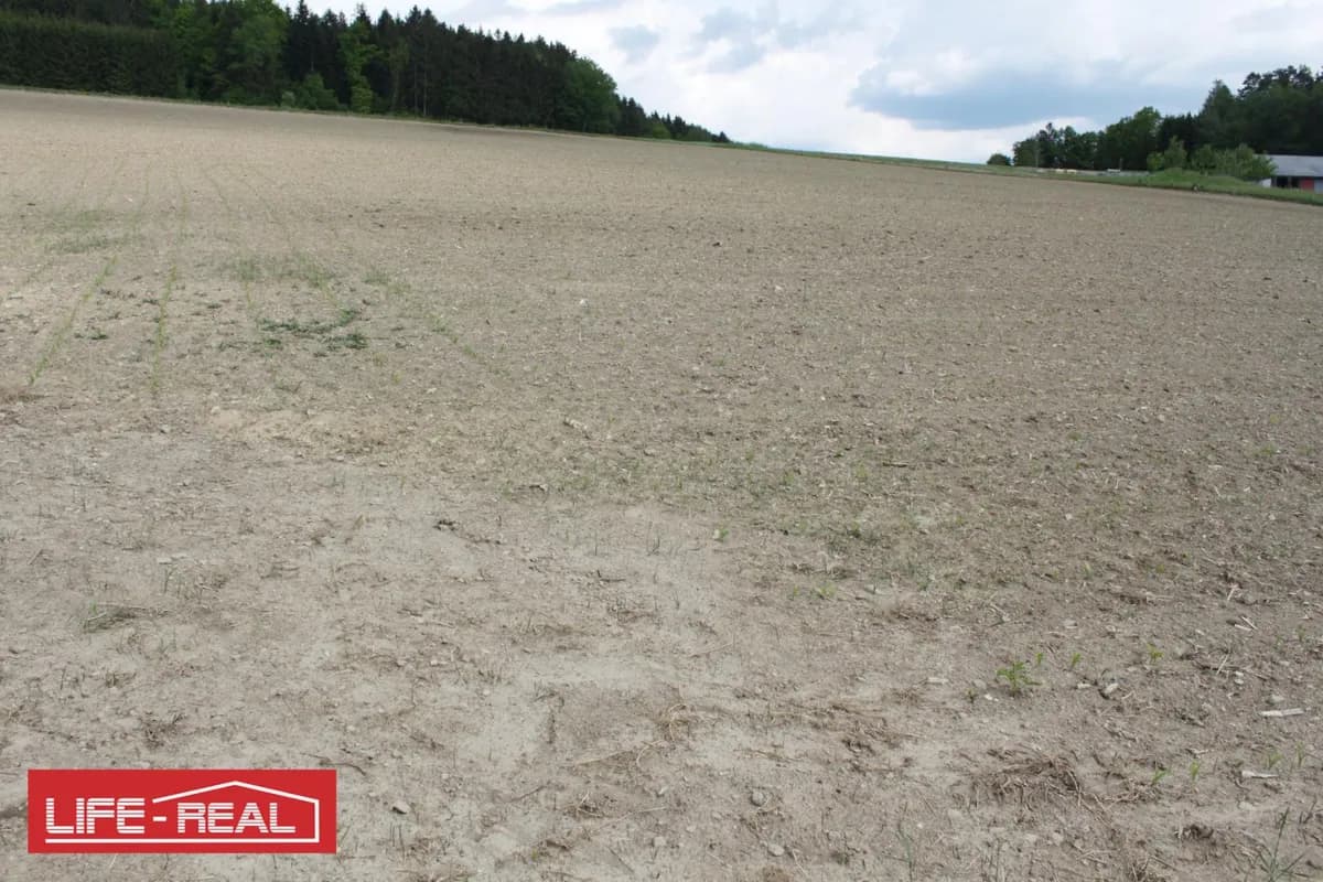 Grundstück kaufen in Rohrbach – 11 817 m², € 67.000 – Bild 2 von 2