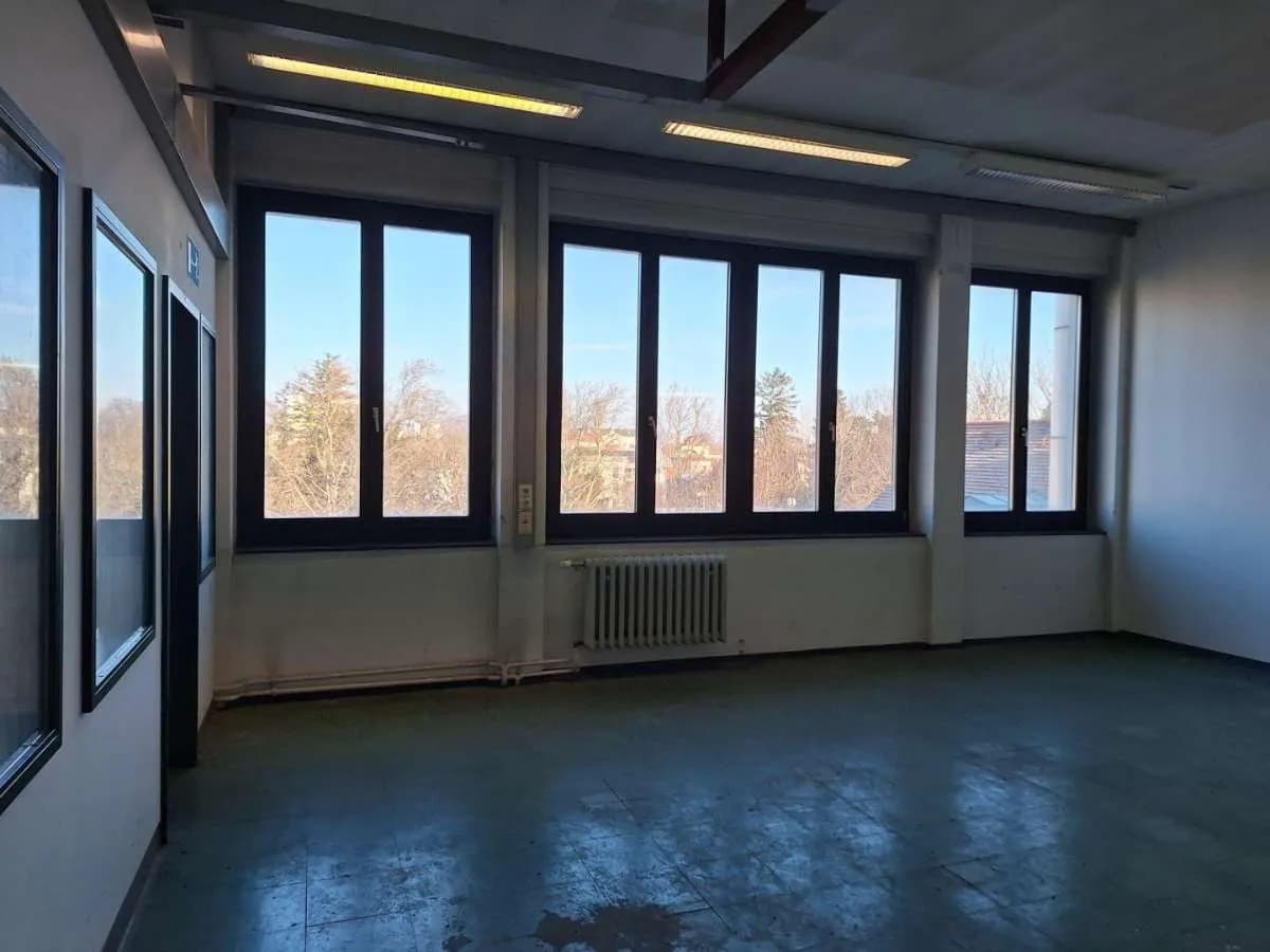 5-Zimmer-Gewerbeimmobilie mieten in Mödling – 253 m², € 2.802 – Bild 3 von 5