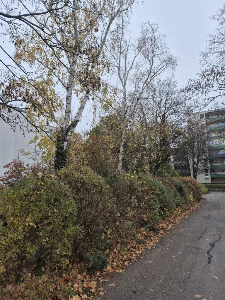 3-Zimmer-Wohnung kaufen in Mödling – 78 m², € 279.000