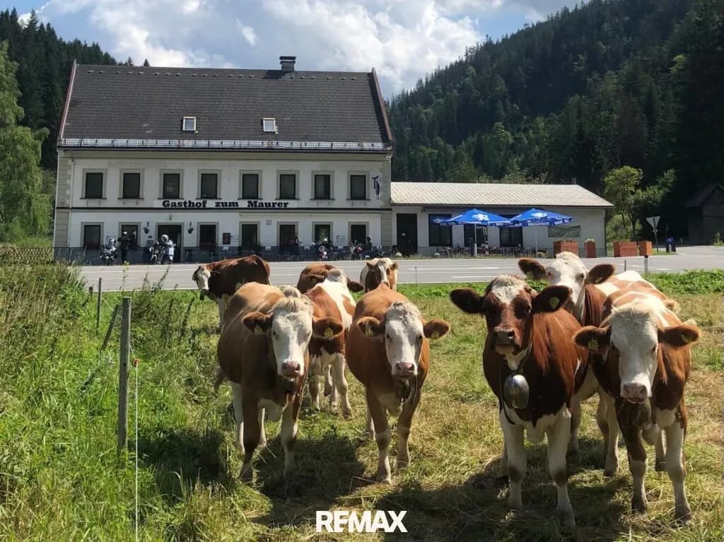 Gewerbeimmobilie kaufen in Bruck-Mürzzuschlag – 577 m², € 299.000