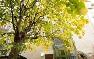 3-Zimmer-Wohnung kaufen in Wien – 75,96 m², € 214.000 – Bild 8 von 13