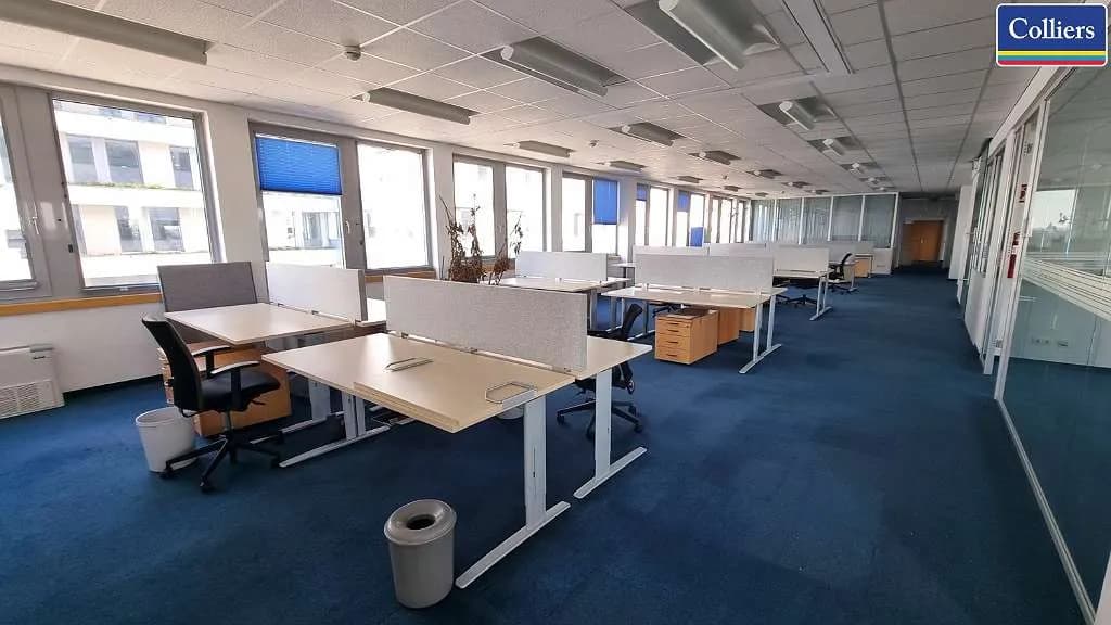 Gewerbeimmobilie mieten in Wien – 10 317 m², € 180.548 – Bild 2 von 9