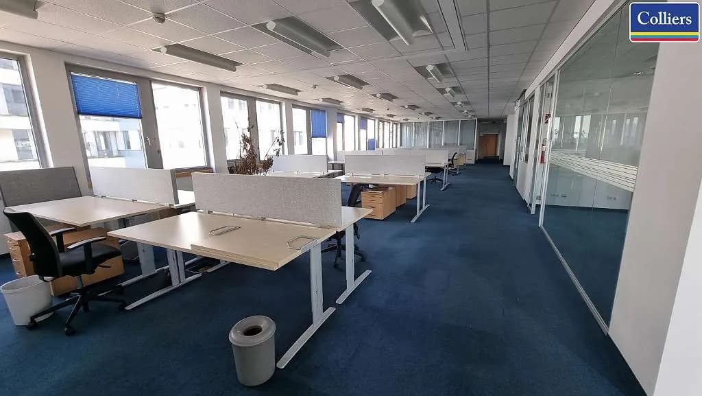 Gewerbeimmobilie mieten in Wien – 10 317 m², € 180.548 – Bild 4 von 9