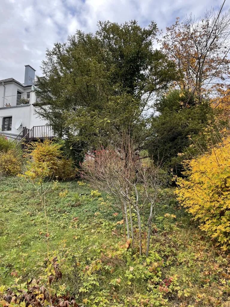 Grundstück kaufen in Wien – 420 m², € 850.000 – Bild 8 von 8
