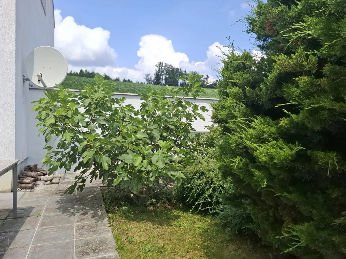 6-Zimmer-Haus kaufen in Linz Land – 198 m², € 939.000 – Bild 4 von 19