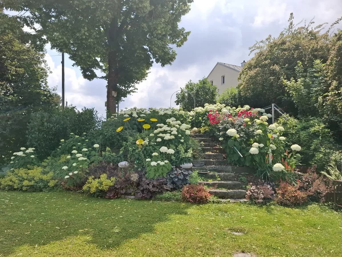 6-Zimmer-Haus kaufen in Linz Land – 198 m², € 939.000 – Bild 6 von 19