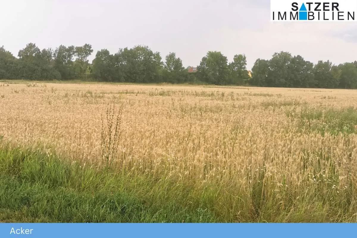 Grundstück kaufen in Gänserndorf – 13 764 m² – Bild 2 von 4