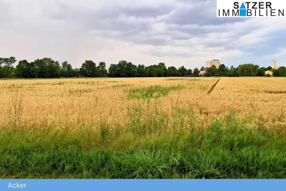 Grundstück kaufen in Gänserndorf – 13 764 m² – Bild 3 von 4