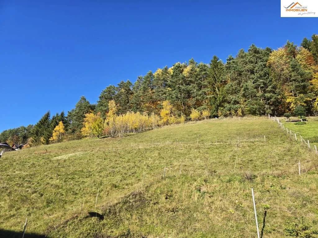Grundstück kaufen in Neunkirchen – 1 422 m², € 89.000 – Bild 3 von 6