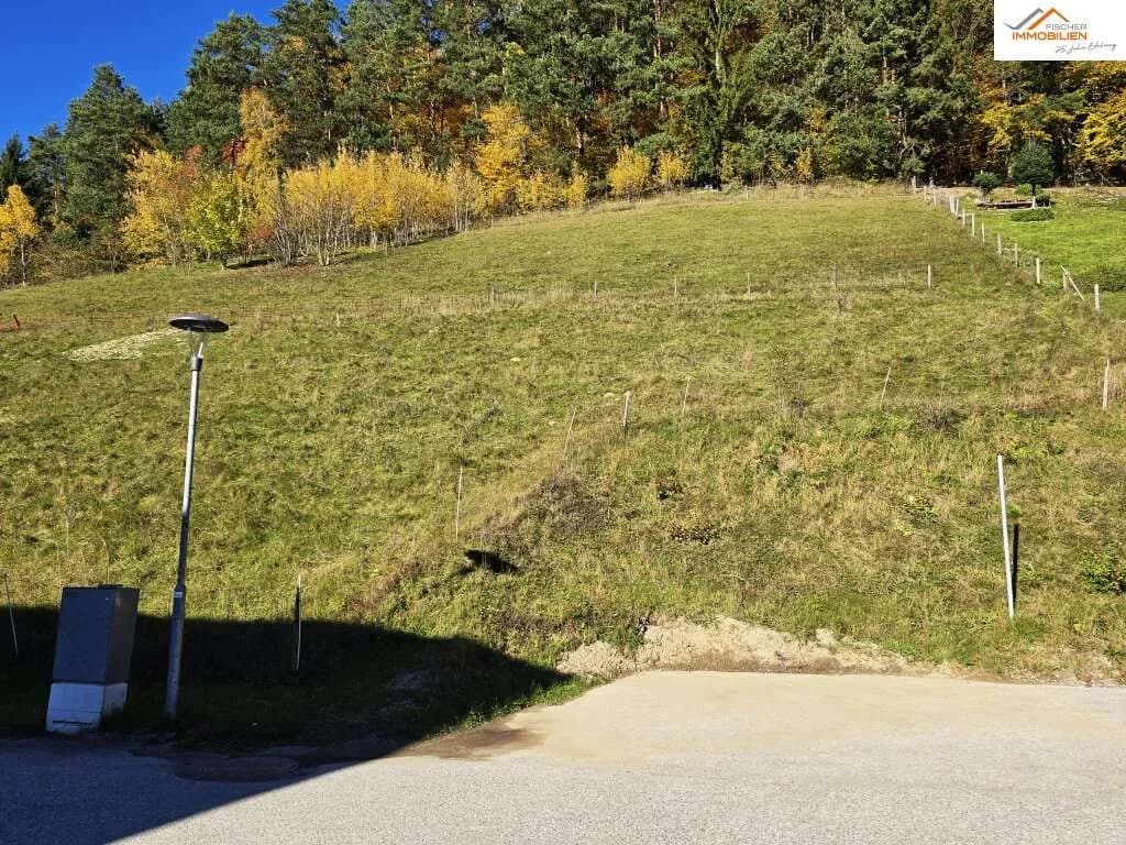 Grundstück kaufen in Neunkirchen – 1 422 m², € 89.000 – Bild 4 von 6