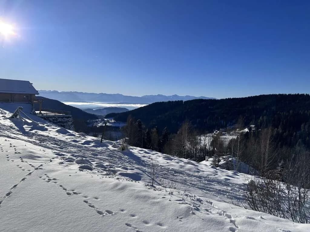 Grundstück kaufen in Feldkirchen – € 132.300