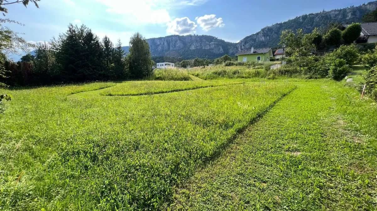 Grundstück kaufen in Wiener Neustadt Land – 1 300 m², € 250.000 – Bild 3 von 12