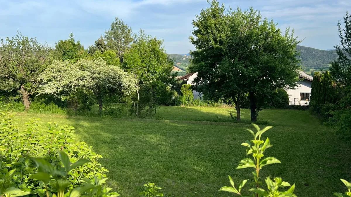 Grundstück kaufen in Wiener Neustadt Land – 1 300 m², € 250.000 – Bild 6 von 12
