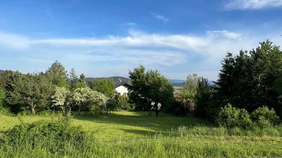 Grundstück kaufen in Wiener Neustadt Land – 1 300 m², € 250.000 – Bild 11 von 12