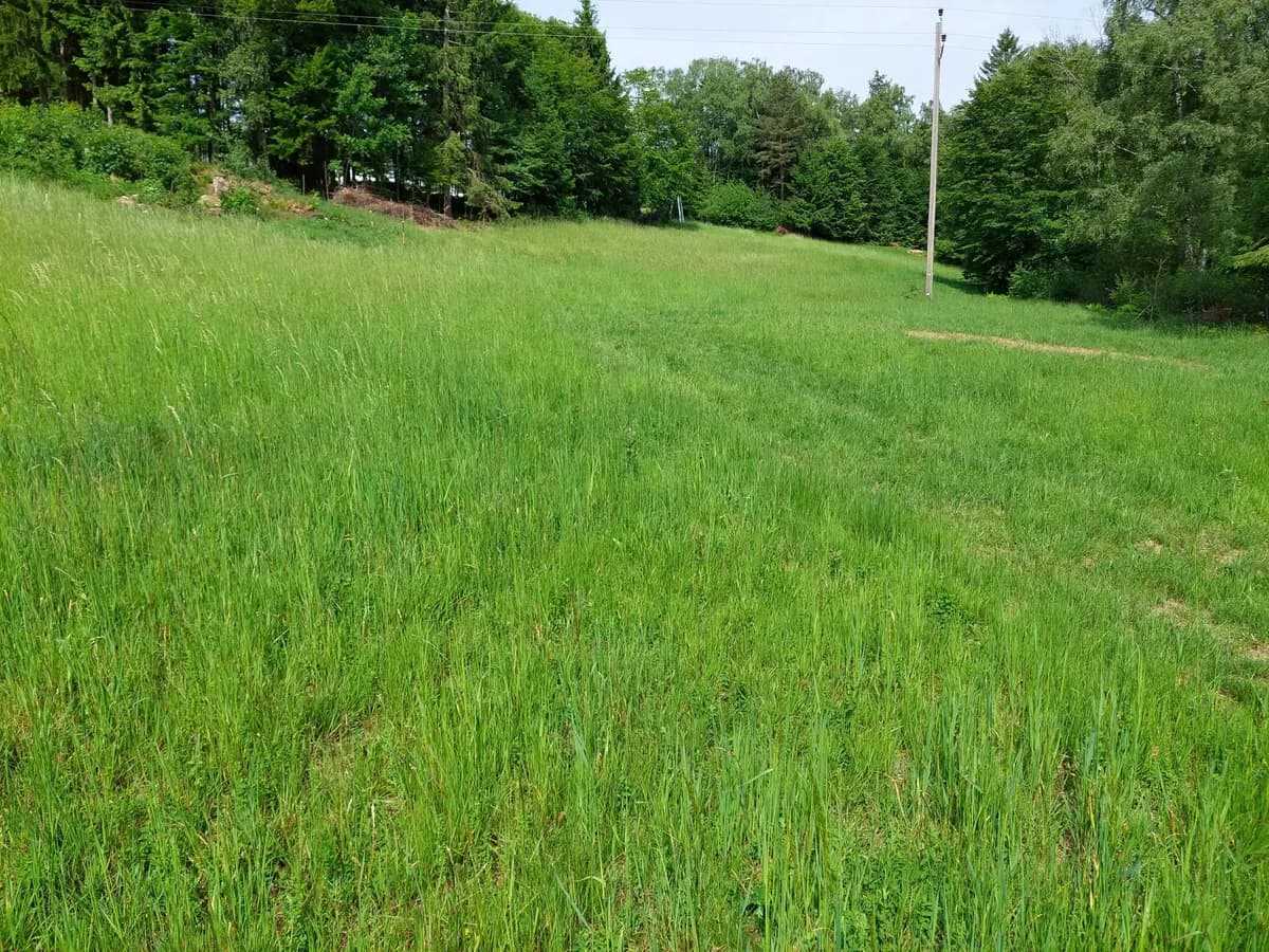 Grundstück kaufen in Rohrbach – 19 398 m², € 175.800 – Bild 4 von 8