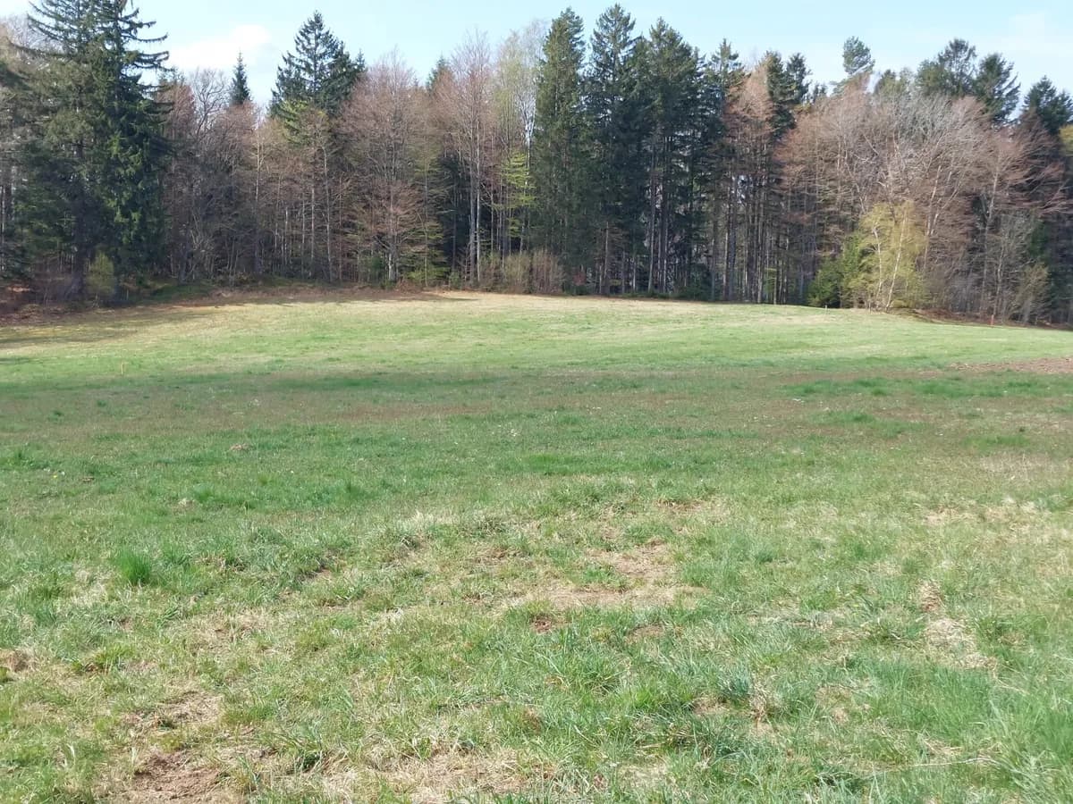 Grundstück kaufen in Rohrbach – 19 398 m², € 175.800 – Bild 5 von 8