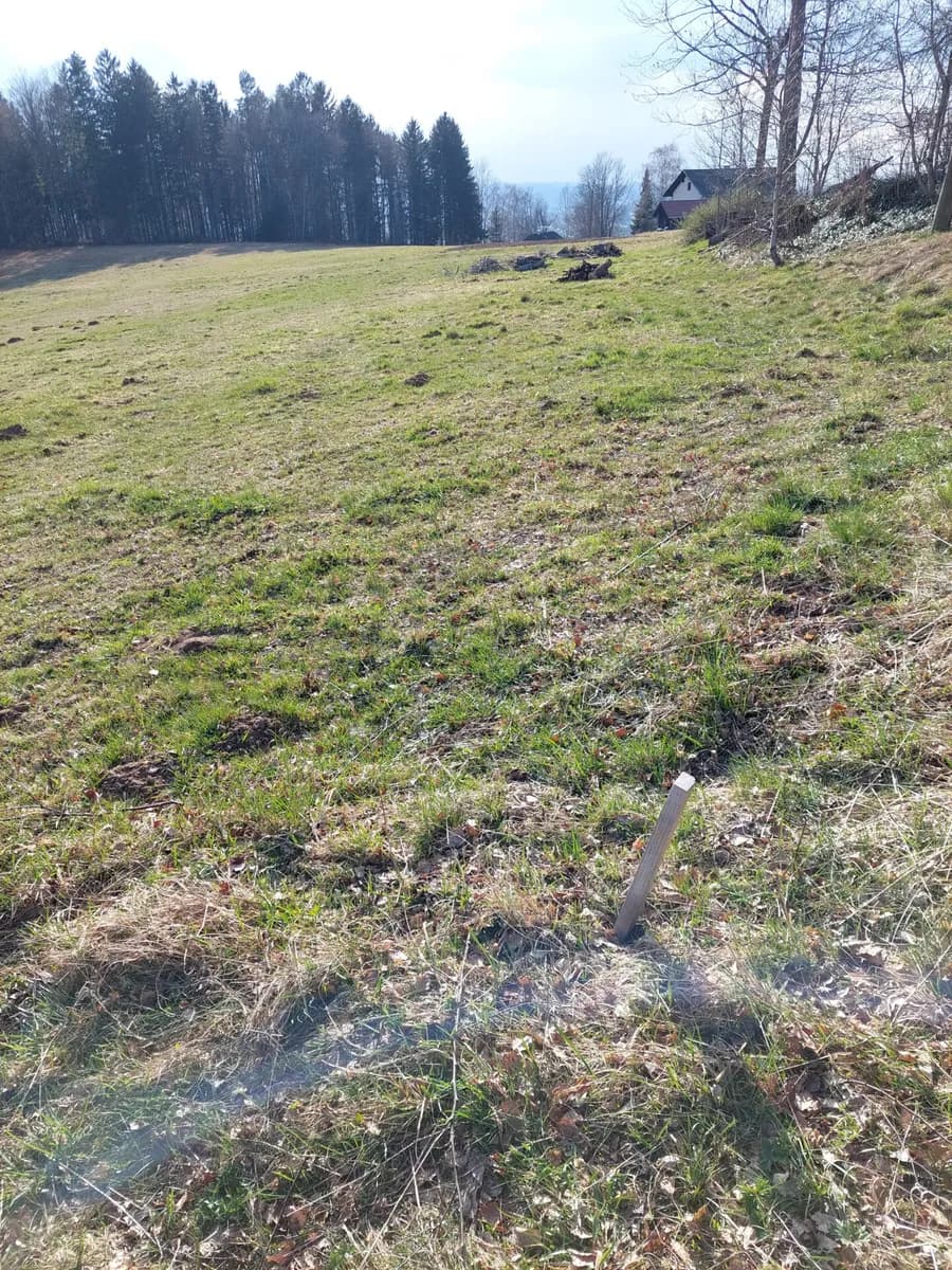 Grundstück kaufen in Rohrbach – 19 398 m², € 175.800 – Bild 6 von 8