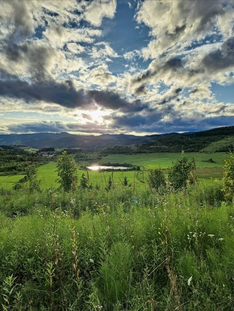 Gewerbeimmobilie kaufen in Voitsberg – 1 339 m², € 1.300.000 – Bild 2 von 17