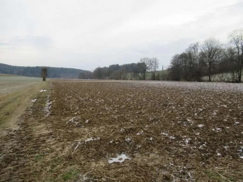 Immobilie kaufen in Hartberg-Fürstenfeld – 472 m², € 532.000 – Bild 45 von 49