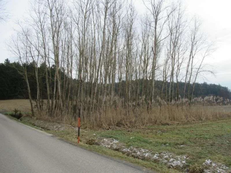 Immobilie kaufen in Hartberg-Fürstenfeld – 472 m², € 532.000 – Bild 47 von 49