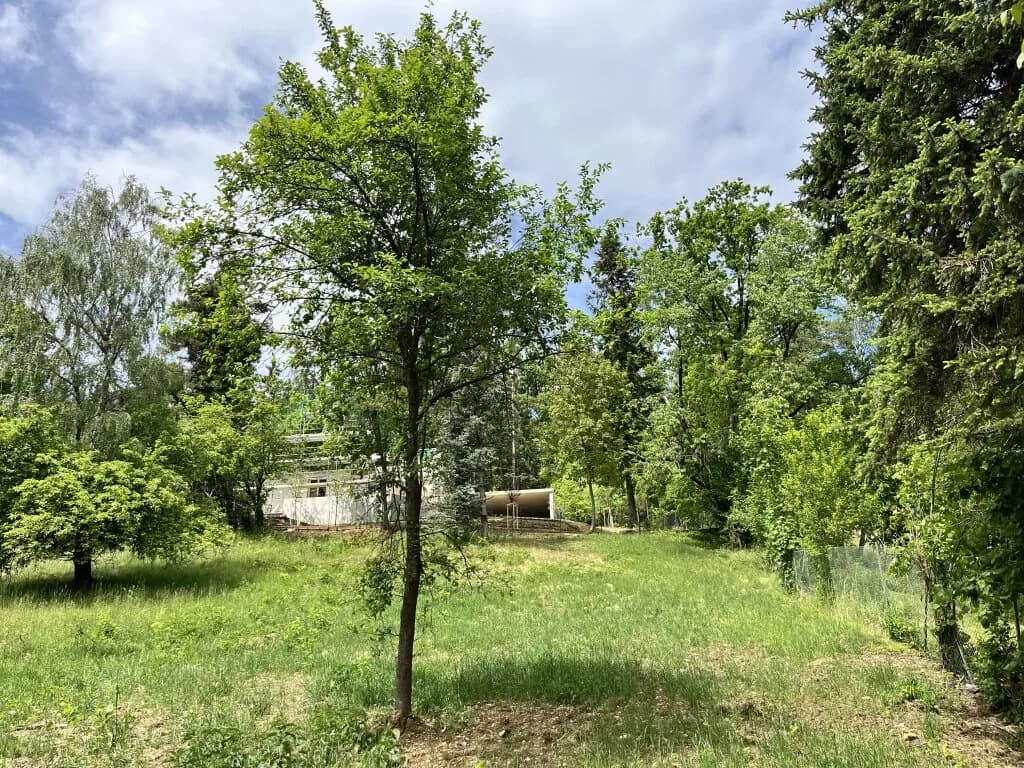 Grundstück kaufen in Graz – 2 585 m², € 1.125.000 – Bild 5 von 12