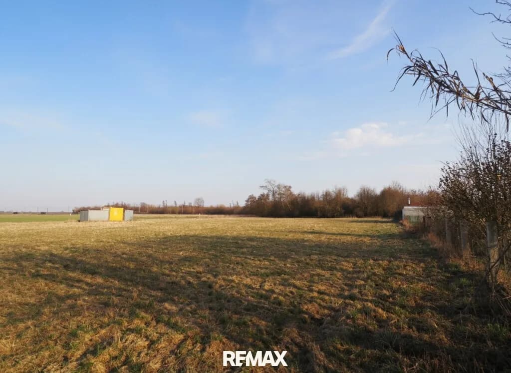 Immobilie kaufen in Linz Land – 3 541 m², € 599.000 – Bild 2 von 4