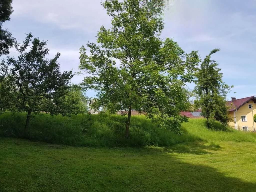 Grundstück kaufen in Braunau am Inn – 3 201 m², € 149.000 – Bild 4 von 9