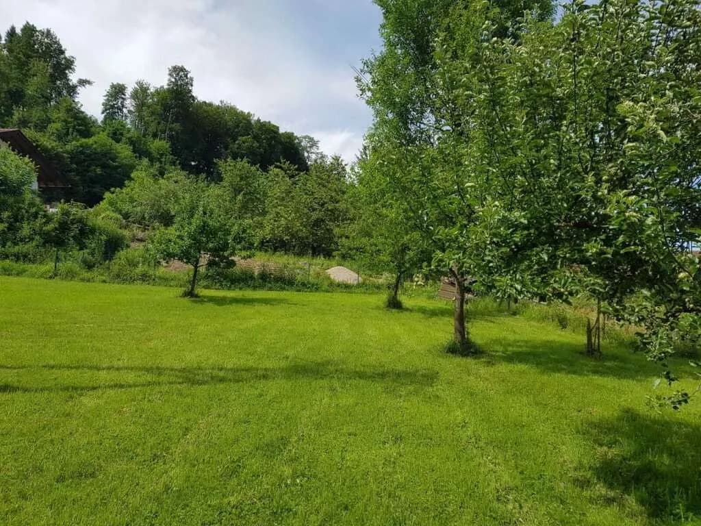 Grundstück kaufen in Braunau am Inn – 3 201 m², € 149.000 – Bild 7 von 9