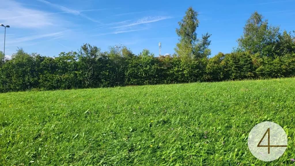 3-Zimmer-Haus kaufen in Schärding – 100 m², € 385.000 – Bild 2 von 7
