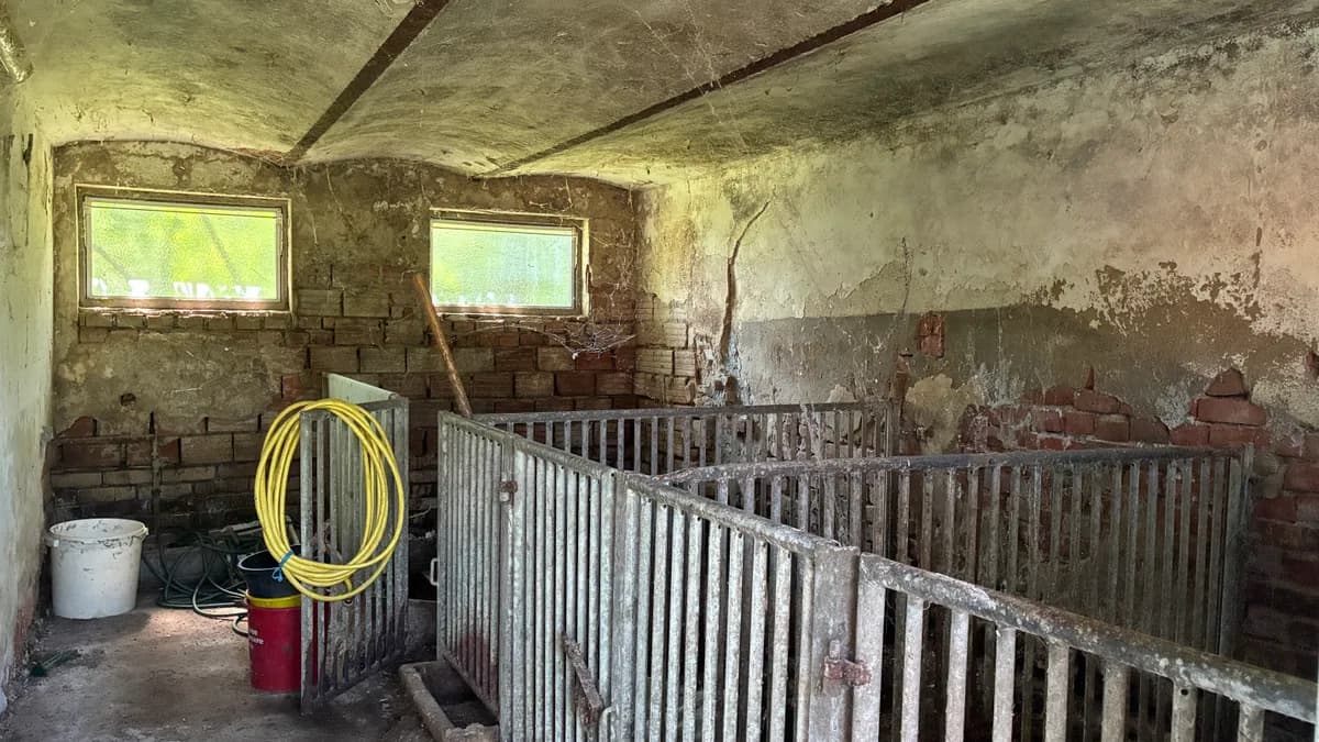6-Zimmer-Immobilie kaufen in Südoststeiermark – 102 m², € 158.000 – Bild 15 von 25