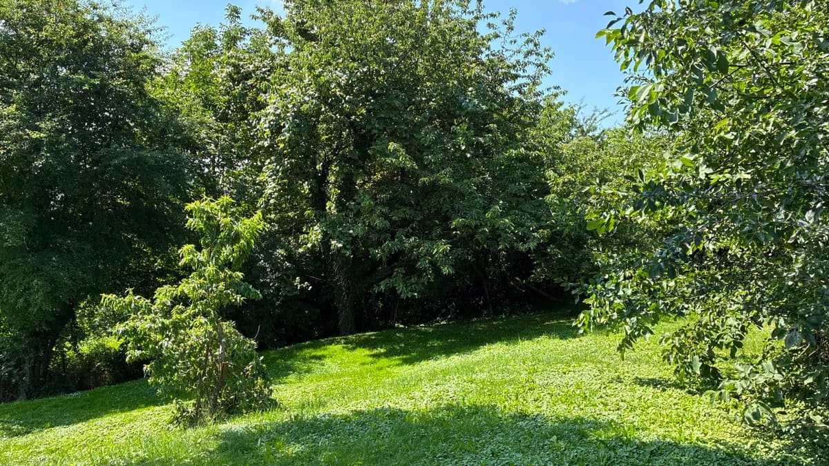 6-Zimmer-Immobilie kaufen in Südoststeiermark – 102 m², € 158.000 – Bild 24 von 25