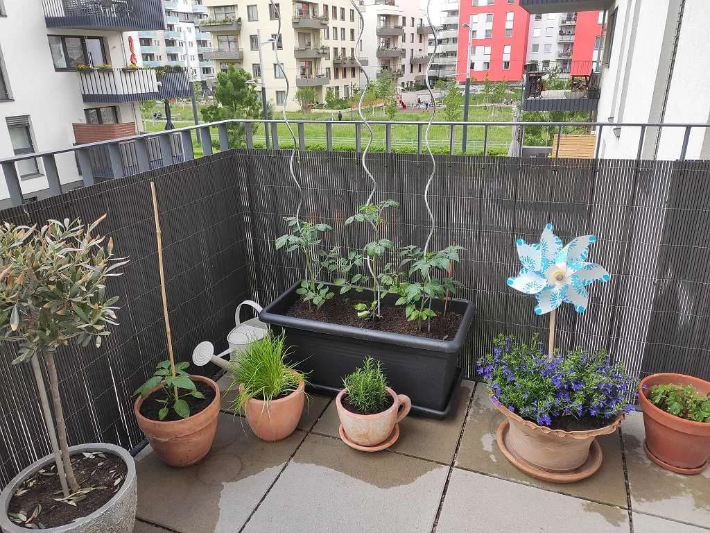 2-Zimmer-Wohnung mieten in Wien – 60 m², € 1.194 – Bild 17 von 20