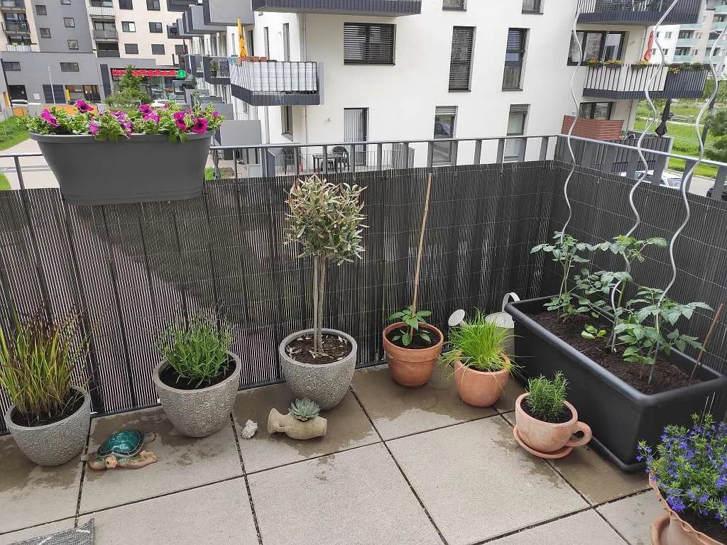 2-Zimmer-Wohnung mieten in Wien – 60 m², € 1.194 – Bild 18 von 20