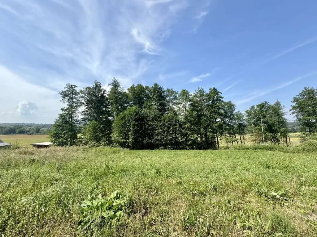 Grundstück kaufen in Leibnitz – 901 m², € 55.000