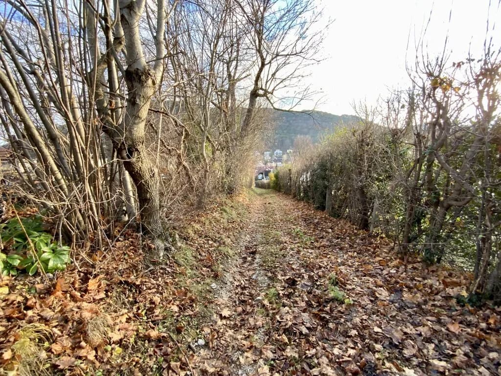 Grundstück kaufen in Mödling – 1 200 m², € 850.000 – Bild 7 von 9