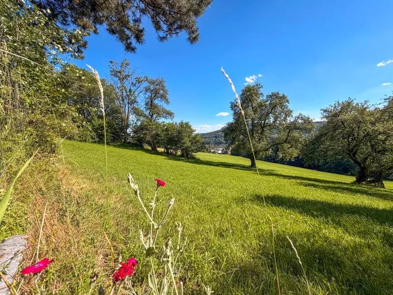 Grundstück kaufen in Urfahr-Umgebung – 3 935 m², € 1.770.000 – Bild 5 von 7