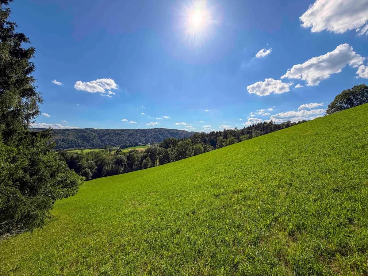 Grundstück kaufen in Urfahr-Umgebung – 3 935 m², € 1.770.000 – Bild 6 von 7